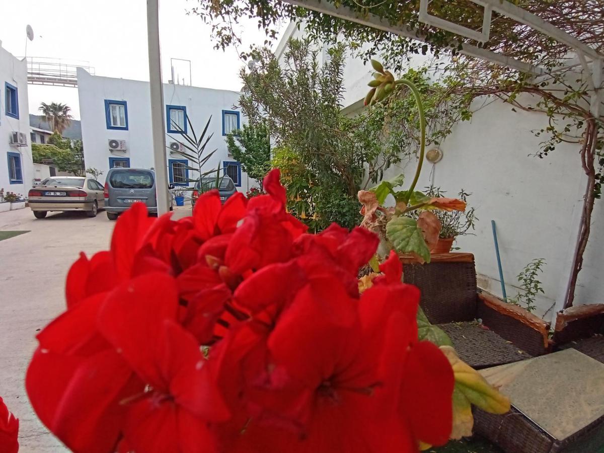 Pay Otel Bodrum Kültér fotó